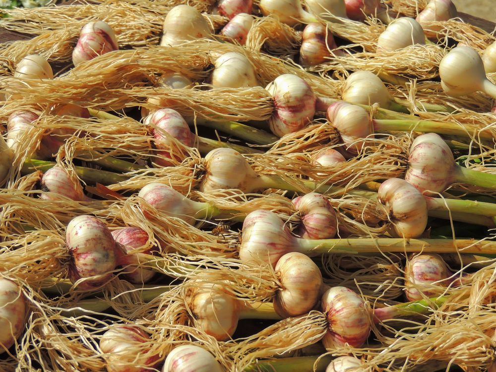 Photograph by  Vladimir