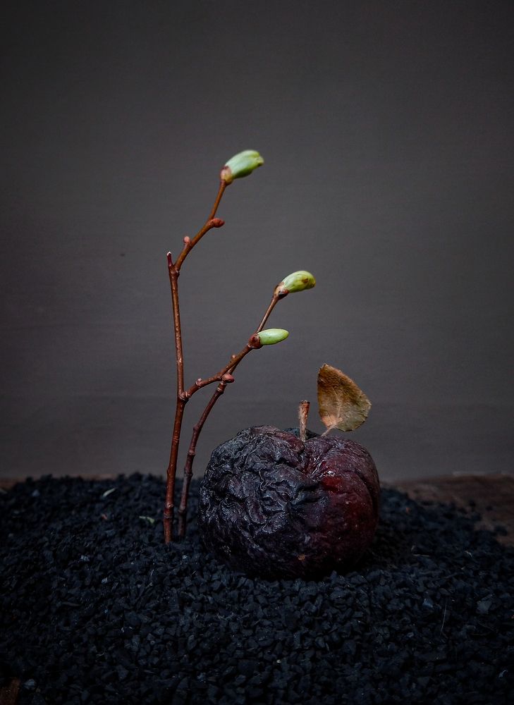 Photograph by Рина Хуртова