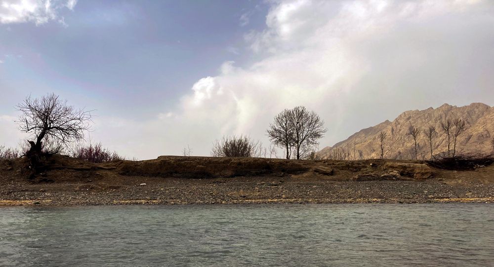 silence of nature