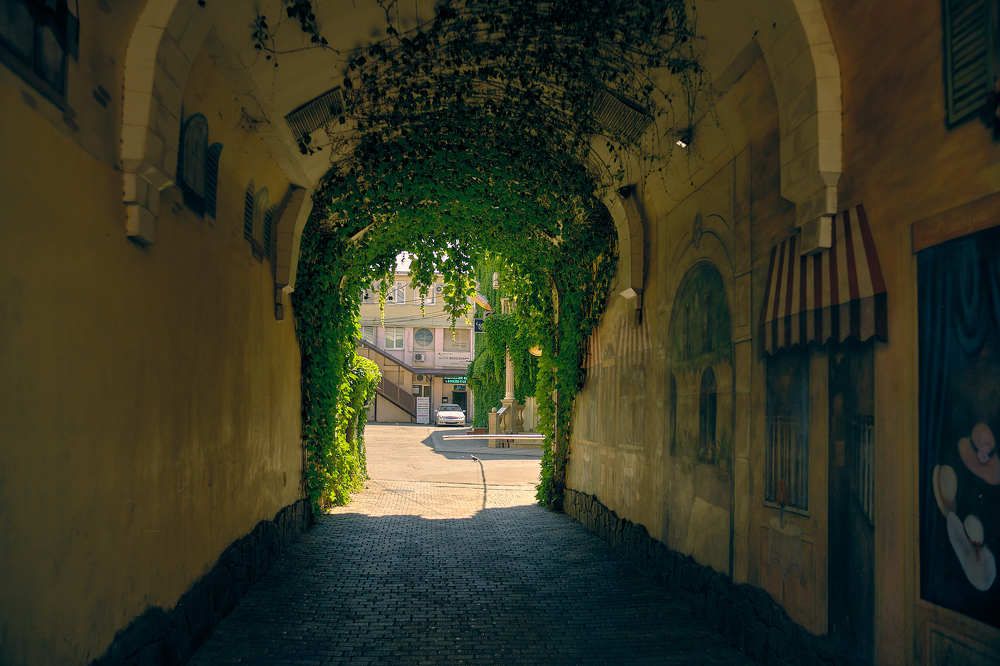 Photograph by Константин Тимонин