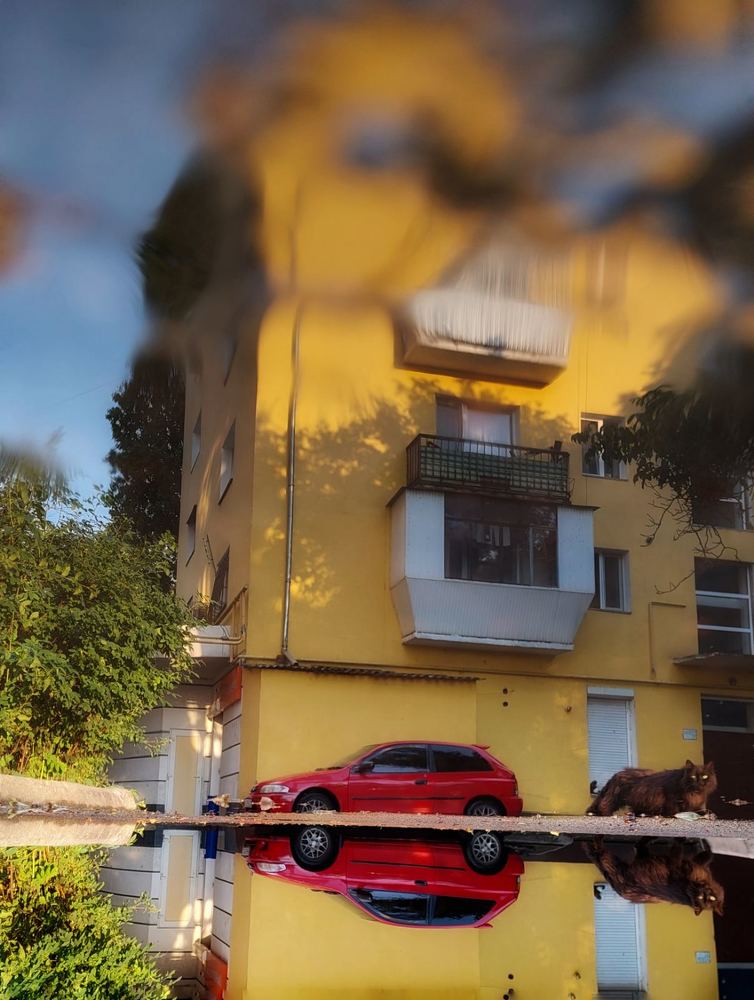 Photograph by Светлана Усатенко