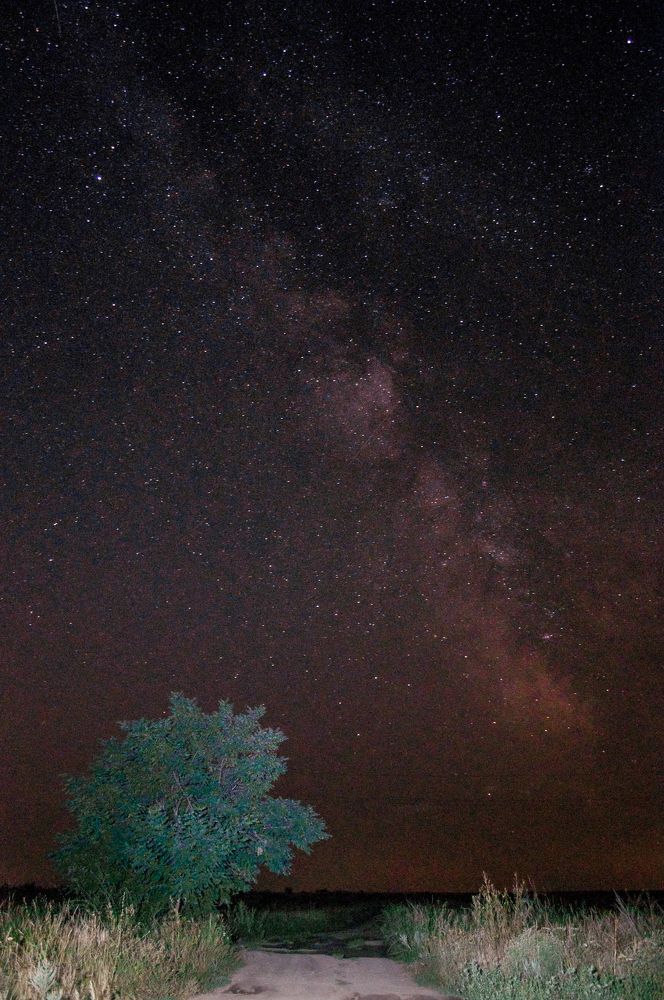 Photograph by Алина Гриб