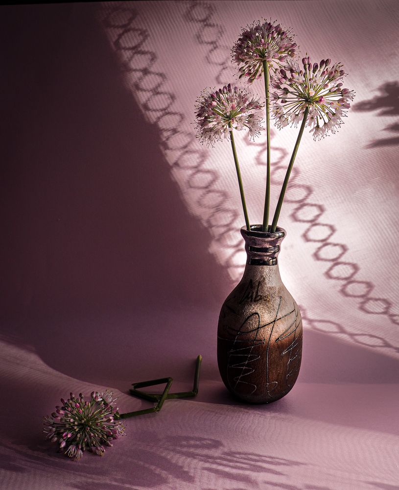 Photograph by Ольга Еженевская