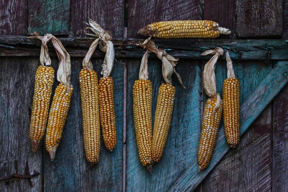 Photograph by Андрей Серый