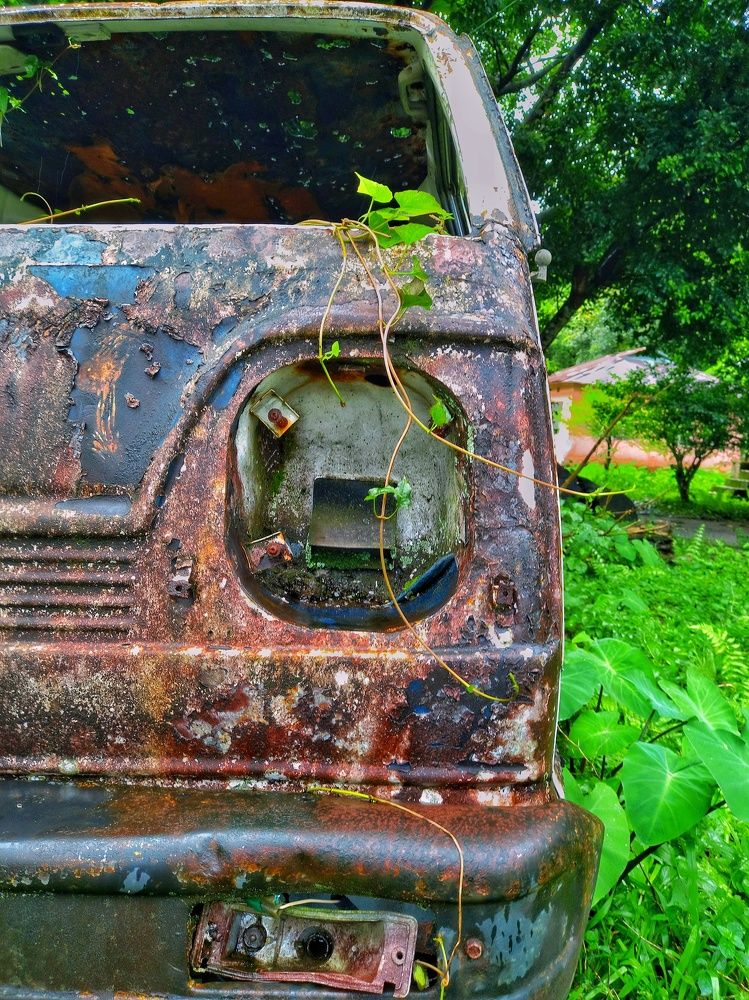 Photograph by Pemba Tshering Tamang