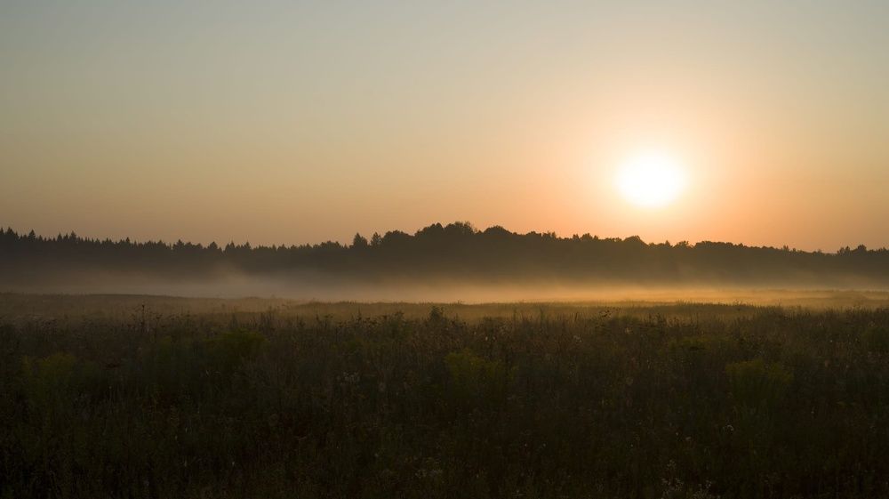 Photograph by Роман Трошин