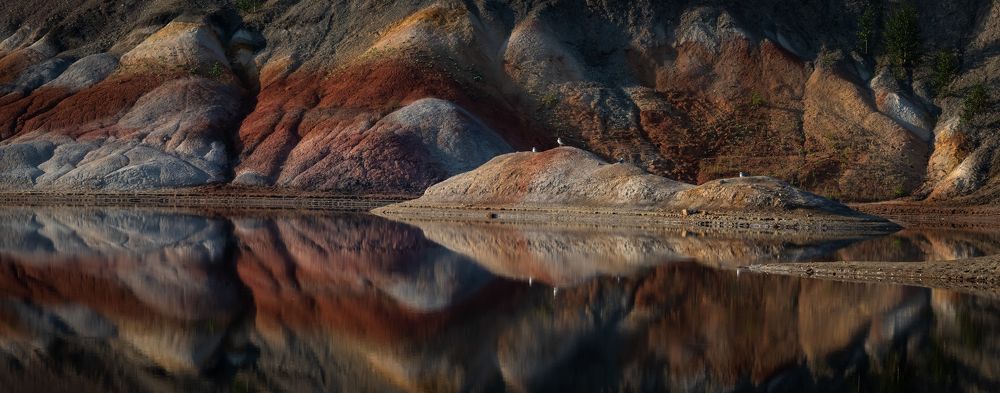 Фотография автора Александр Рудный