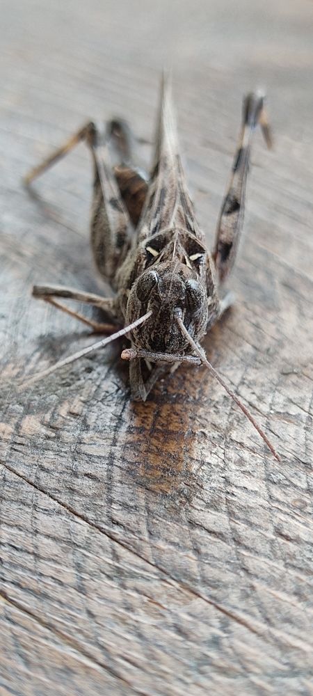 Photograph by Валентин Волк