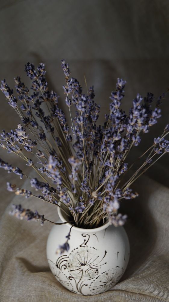 Photograph by Надежда Кнак