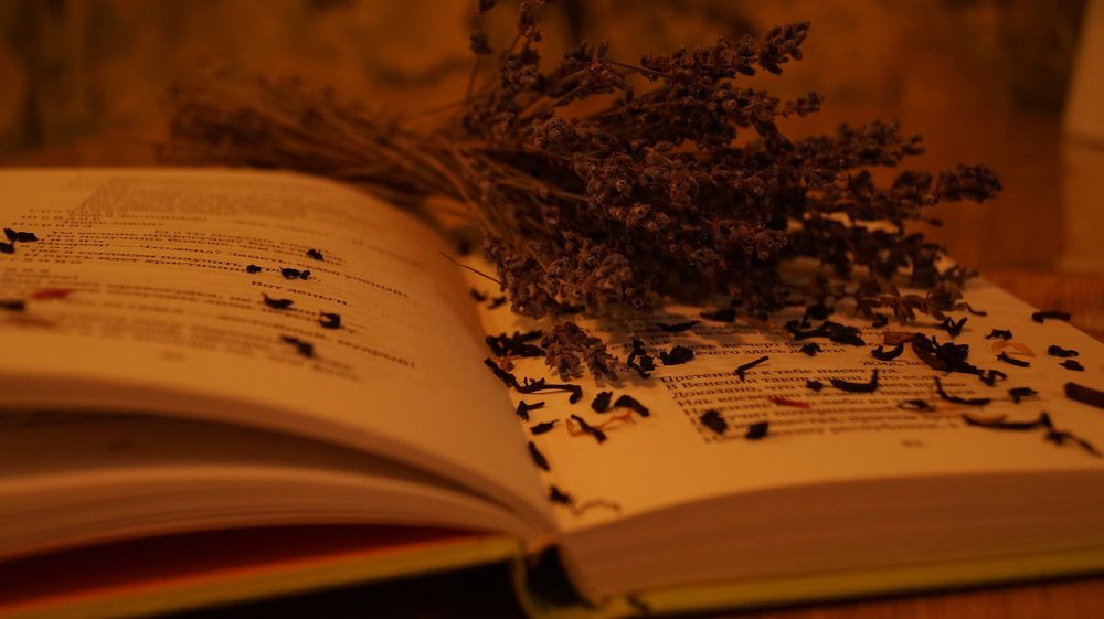 Photograph by Надежда Кнак