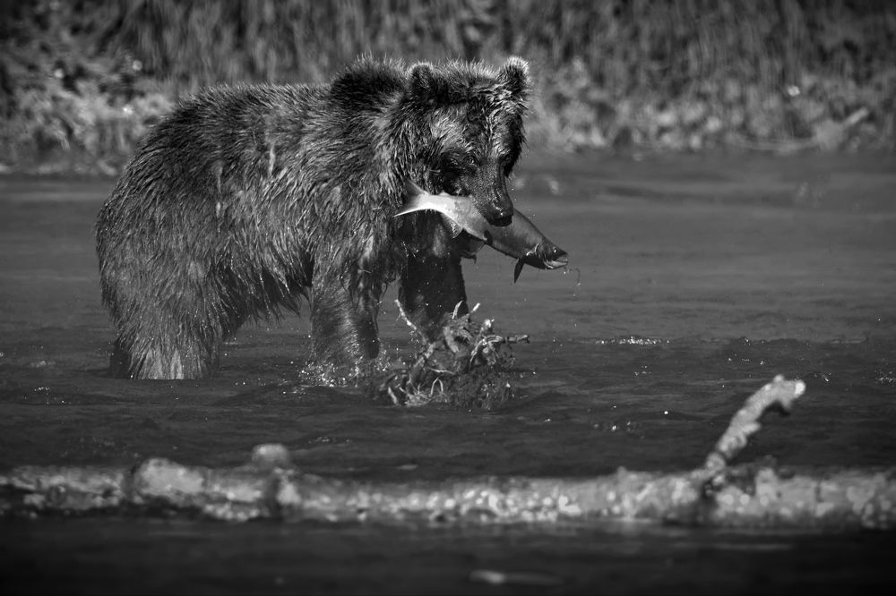 Рыбацкое счастье