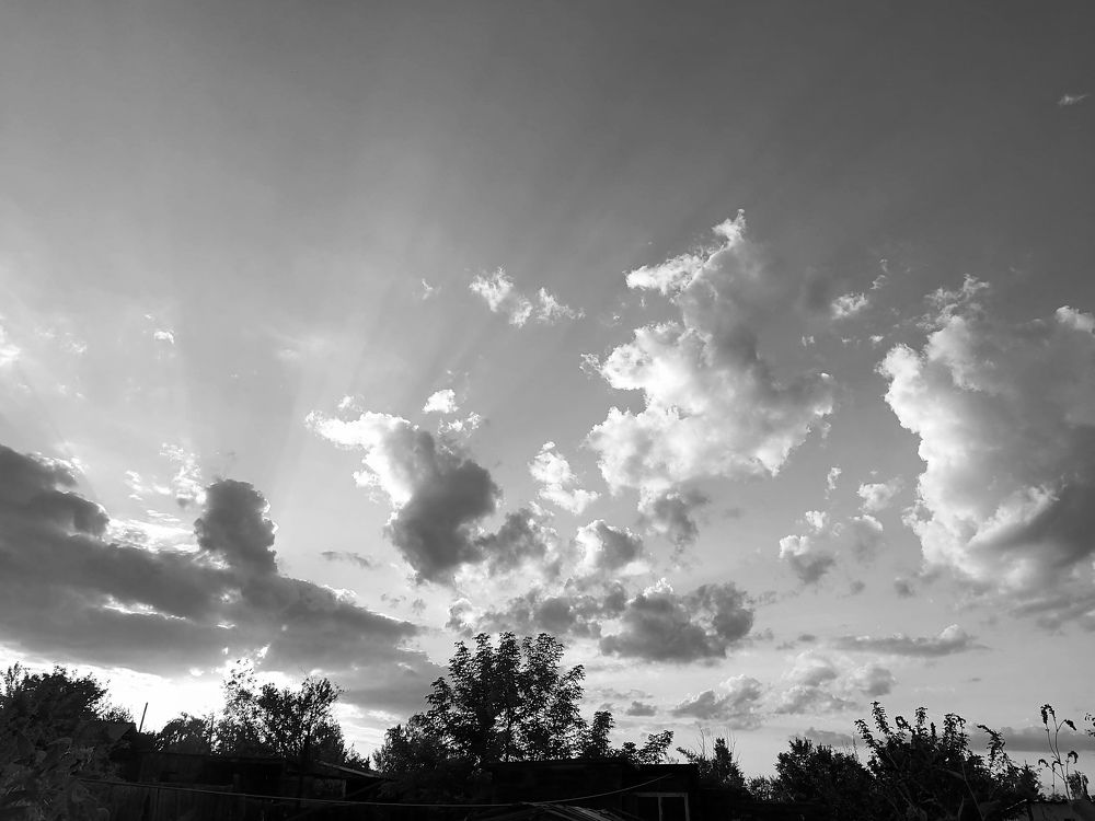 Photo #7890514