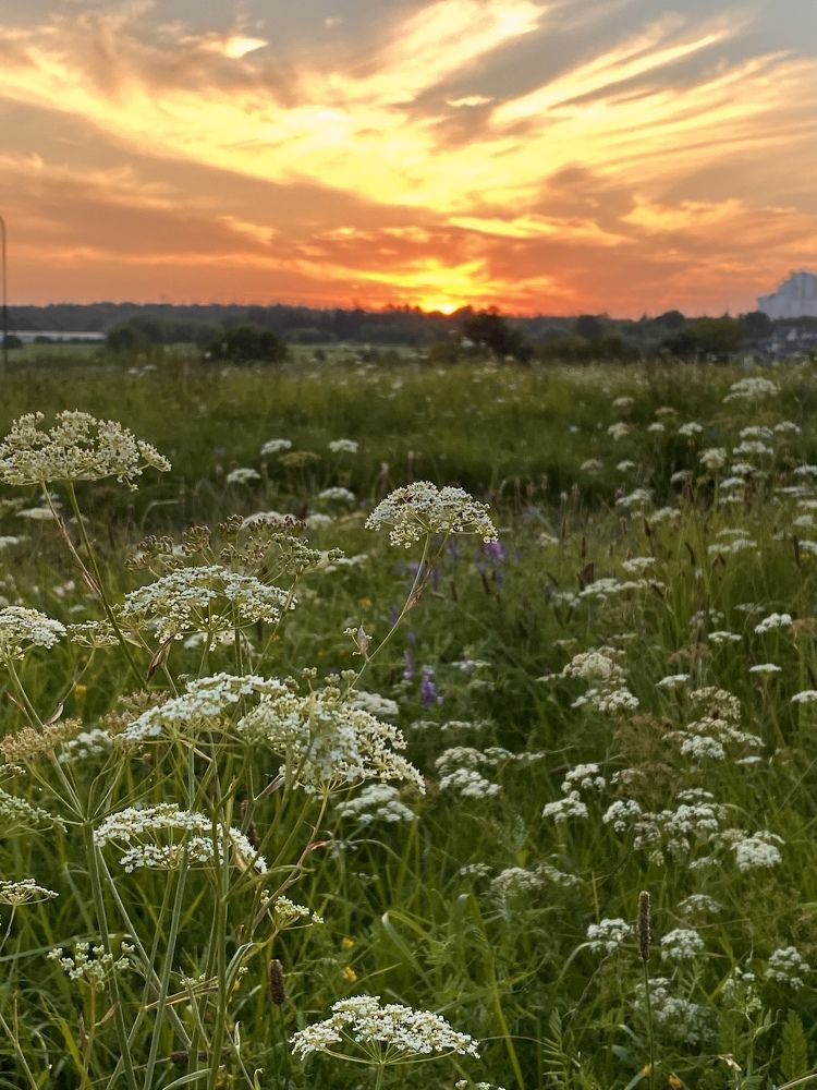 Photograph by Елена Белениник