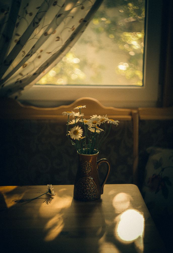 Photograph by Анастасия Кузьмина