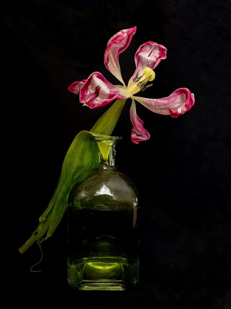 Photograph by Svetlana Yurasova