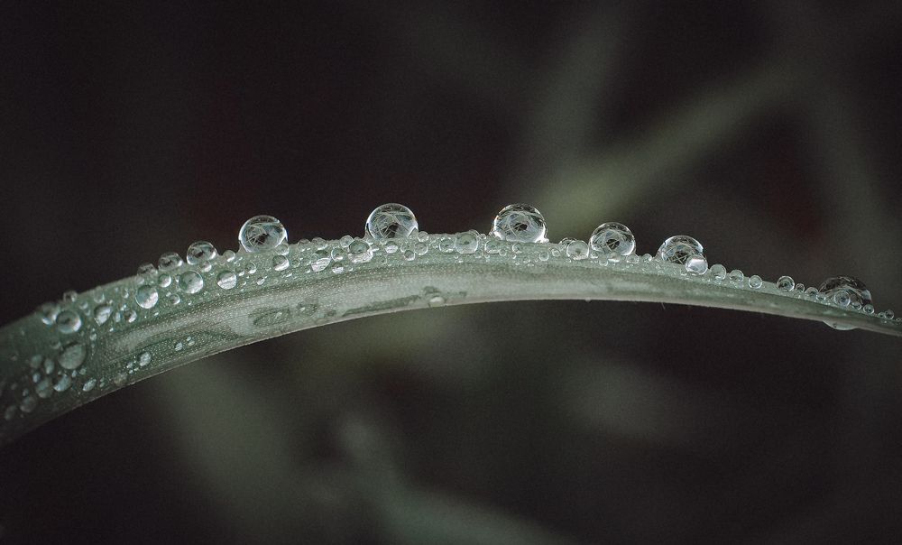 Photograph by Ольга Еженевская