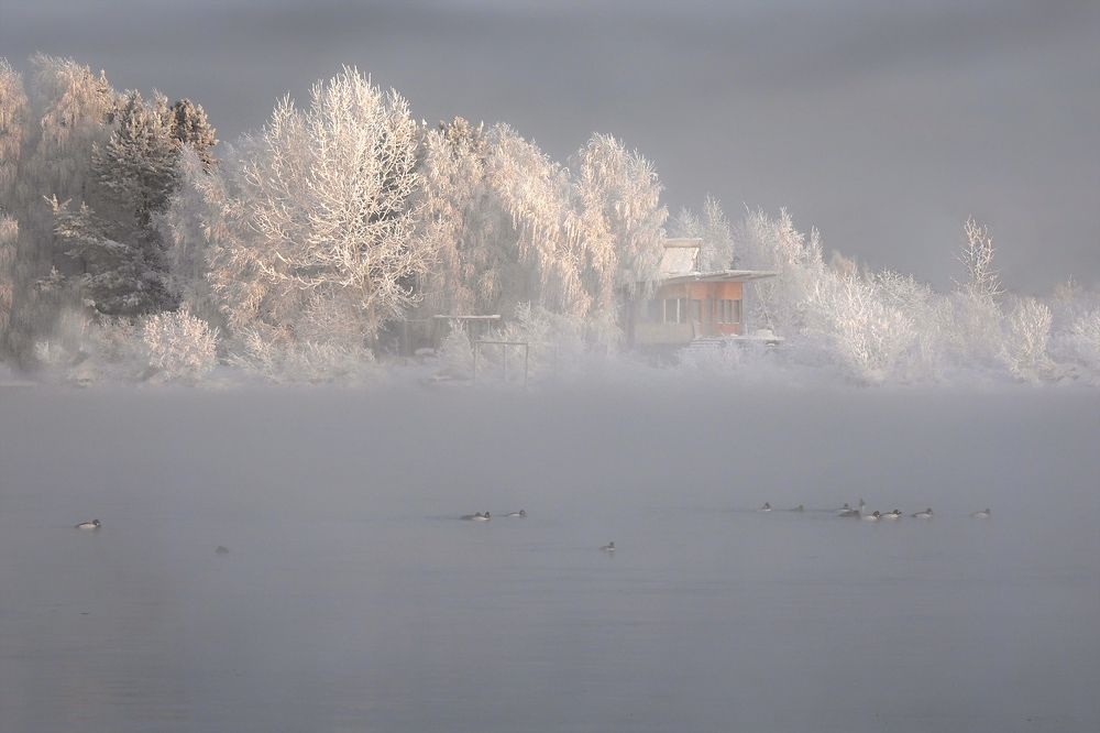Photograph by Александр Попов