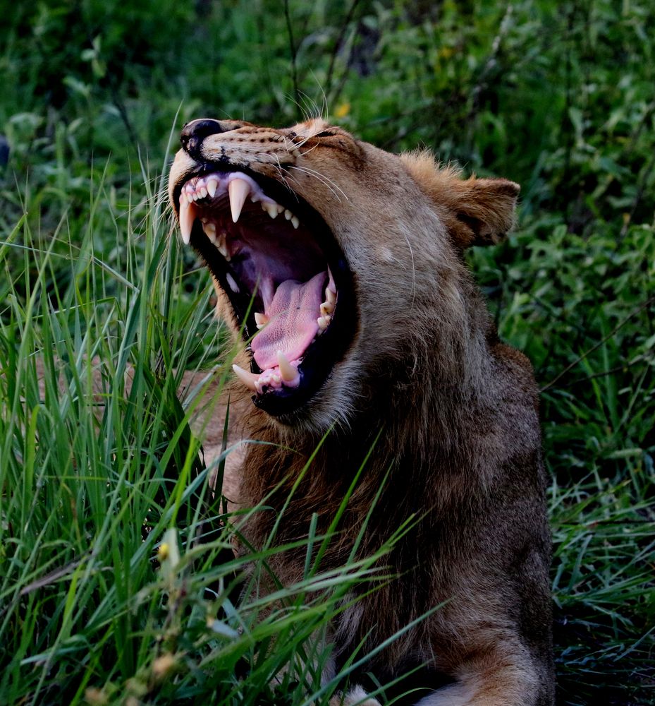 Yawn... it's been a long day