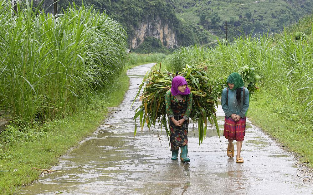 Photograph by Ngọc Vân (Helena Vân) Nguyễn