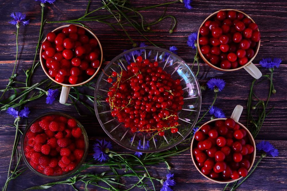 Photograph by Andrey