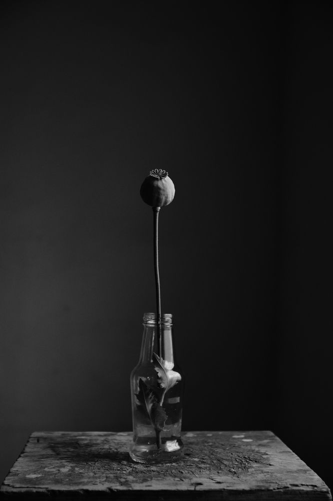 Photograph by Пивоварова Екатерина