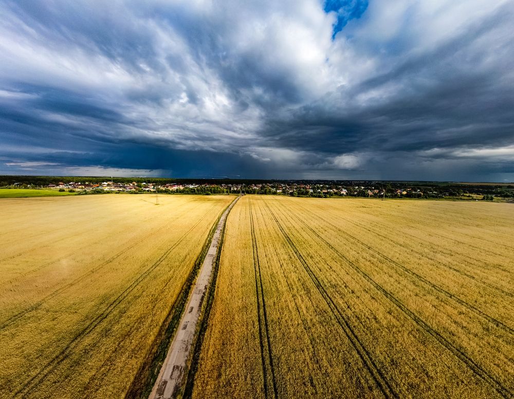 Photograph by Илья Воякин