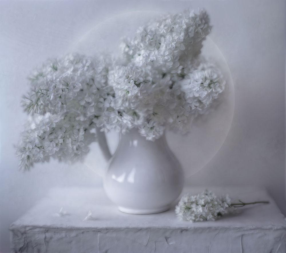 Photograph by Andreeva Svoboda