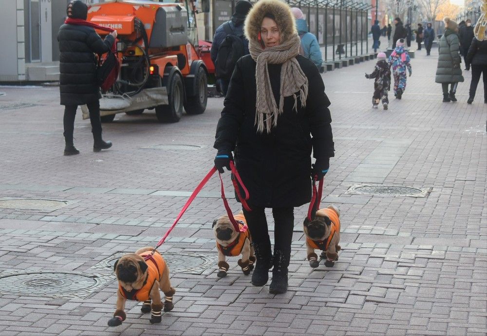 Photograph by Сергей Иванович Носов