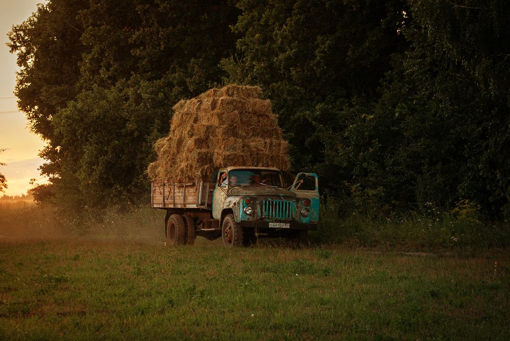 Photograph by Олеся Лагутина