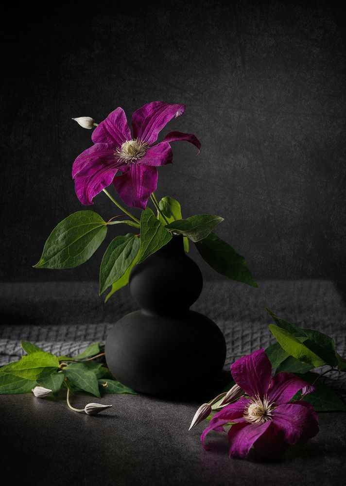 Фотография автора Ольга ЯR