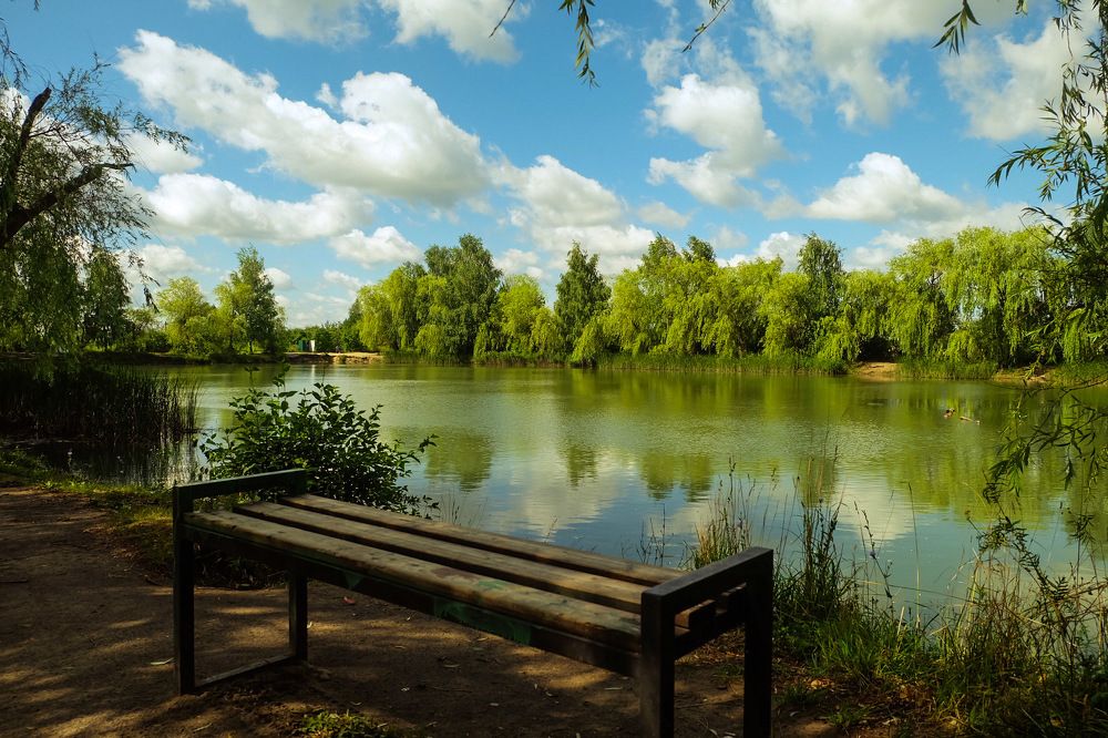 Дачный пруд.