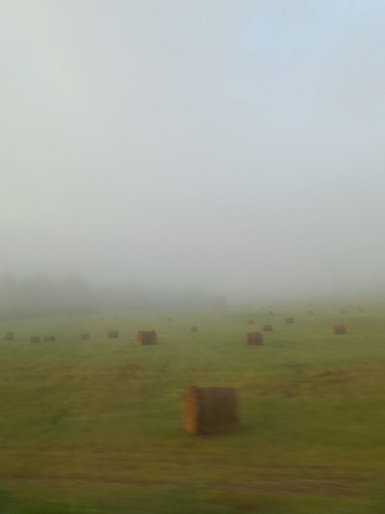 Photograph by Зоя Кулько