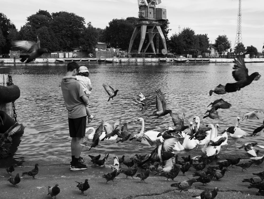 Photograph by Аверьянова Наталья