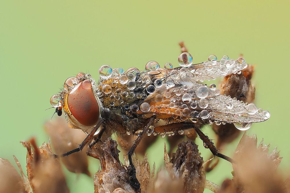 Photograph by Лукашук Евгений