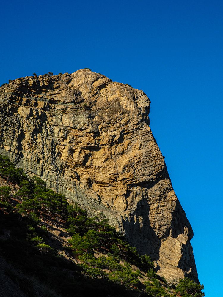 Фотография автора Александра Савельева