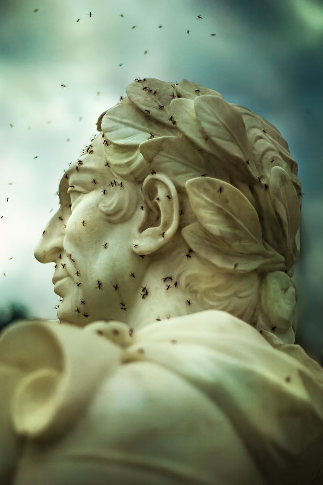 Photograph by Кристина Огранович