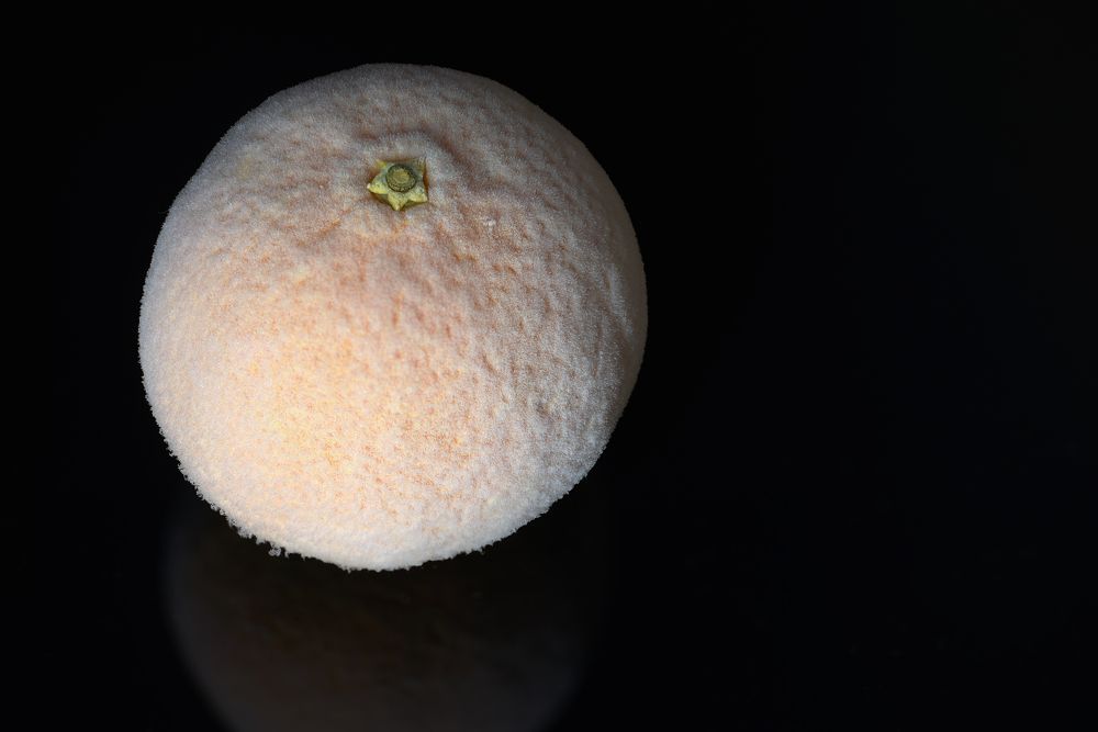 Photograph by Константин Зоткин