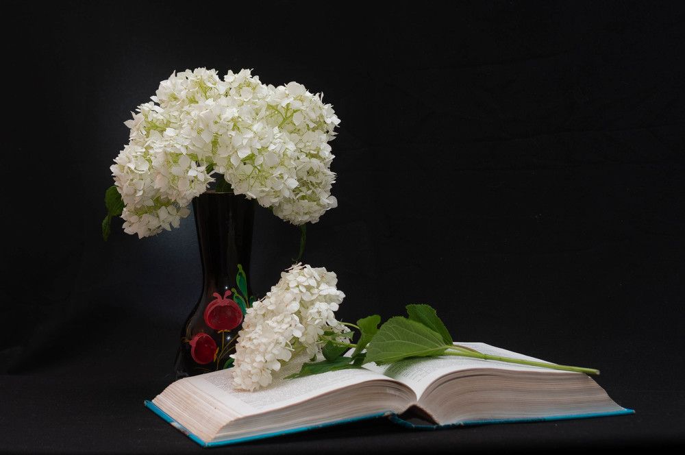 Фотография автора Aлексей Игнатьев