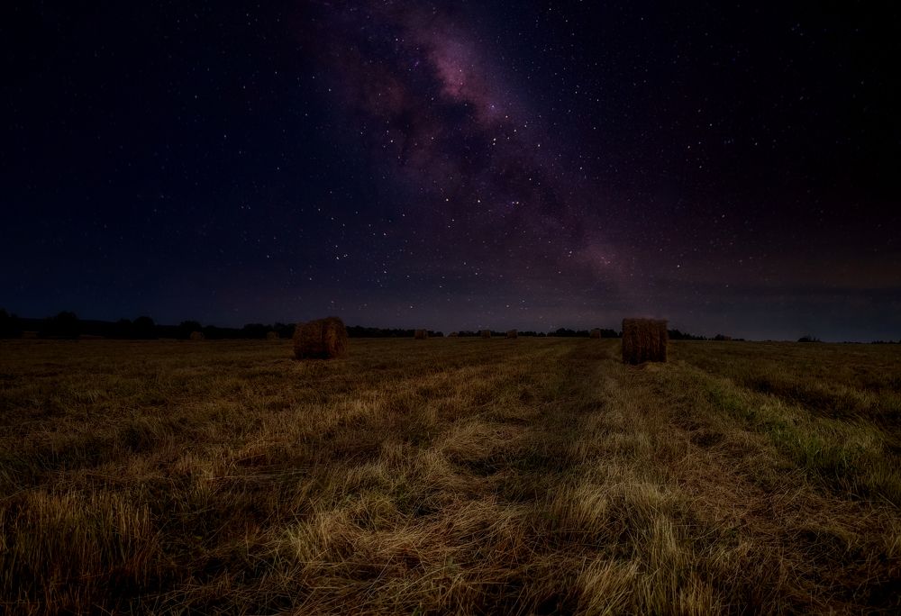 Photograph by Светлана Перминова