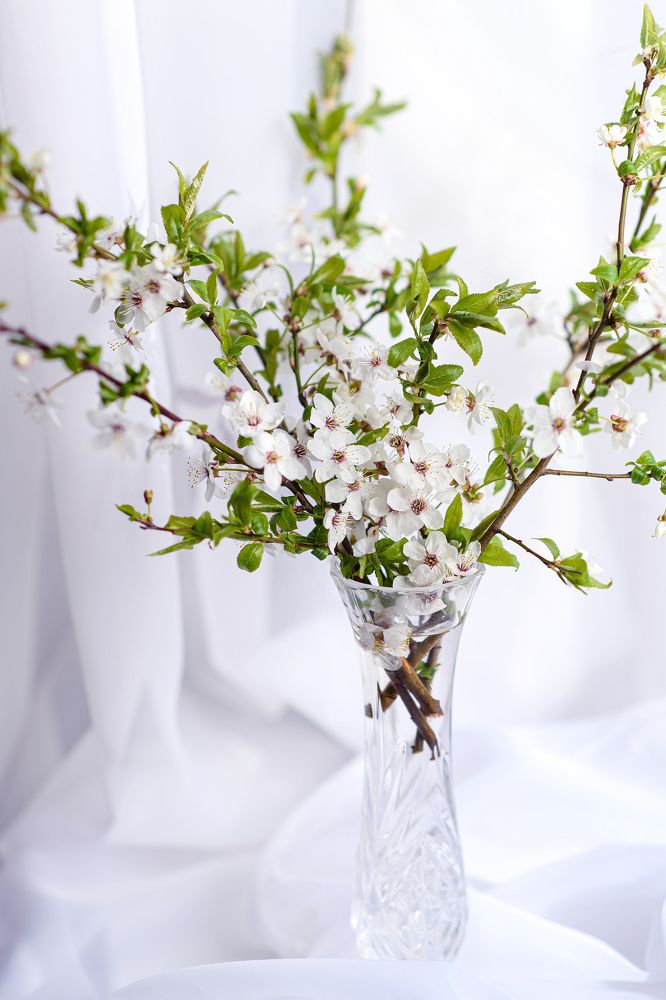 Photograph by Svetlana Jarbuse