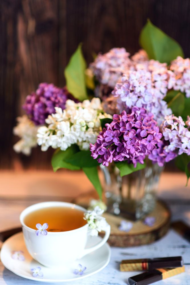 Photograph by Svetlana Jarbuse