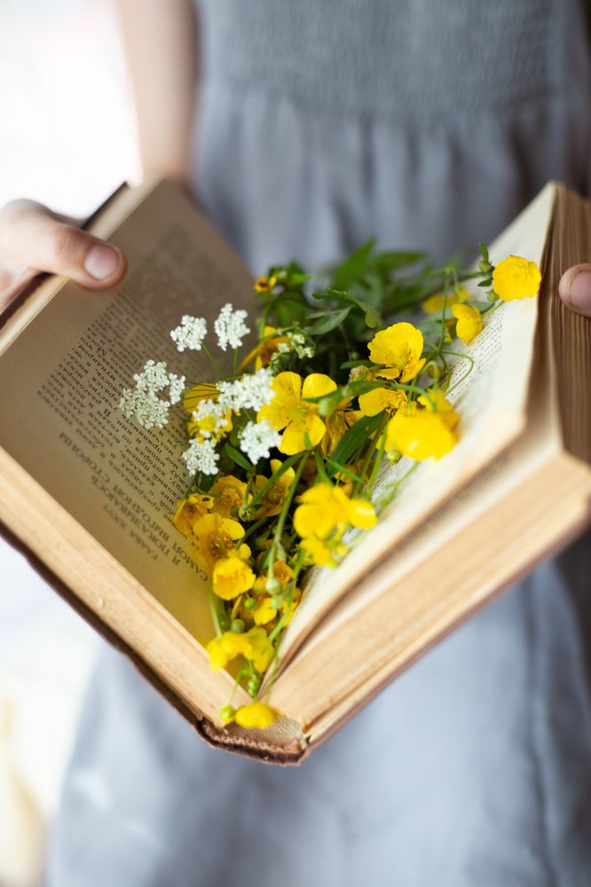 Photograph by Елена Кокоулина