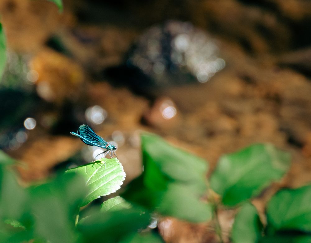 Photograph by Сергей Антонов
