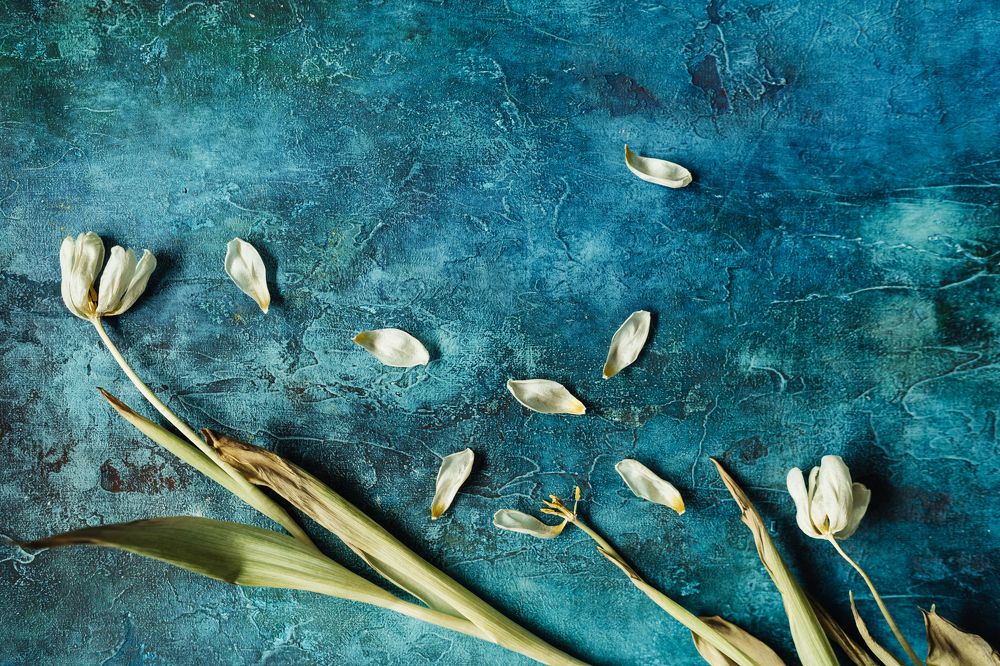 Photograph by Елена Горина