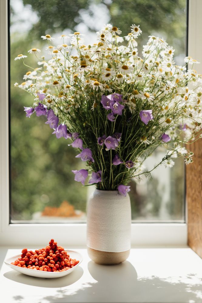 Photograph by Елена Горина