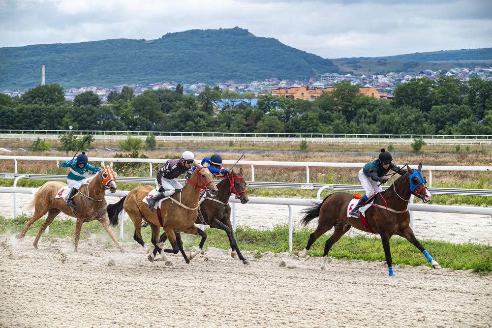 Photograph by Сергей Савчук