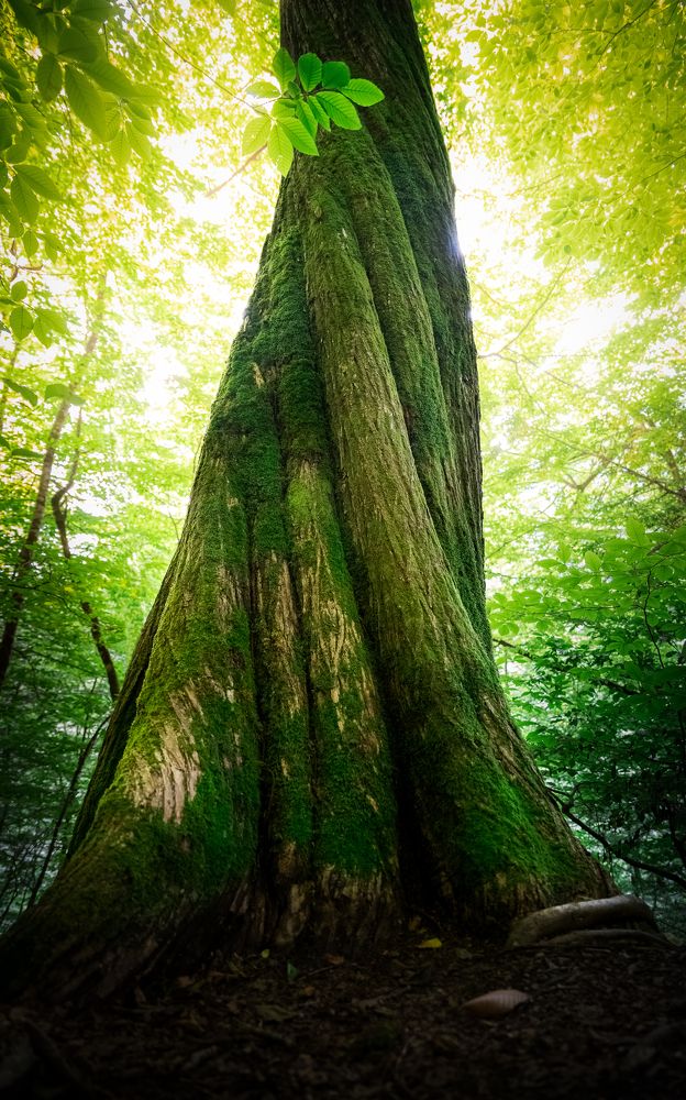 Photograph by Александр Битюков