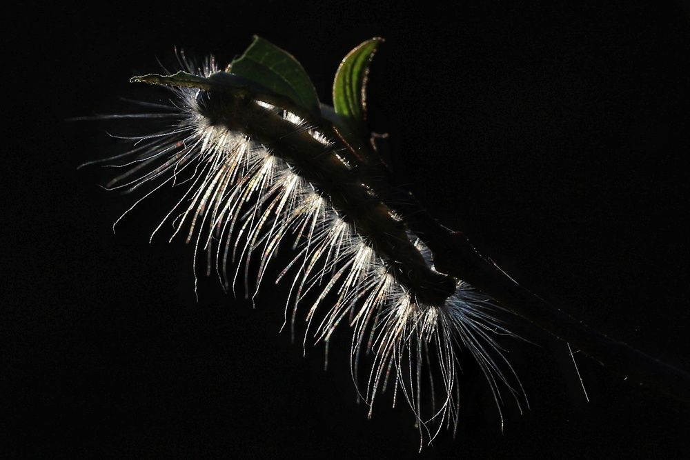 Photograph by çiğdem Sorgut