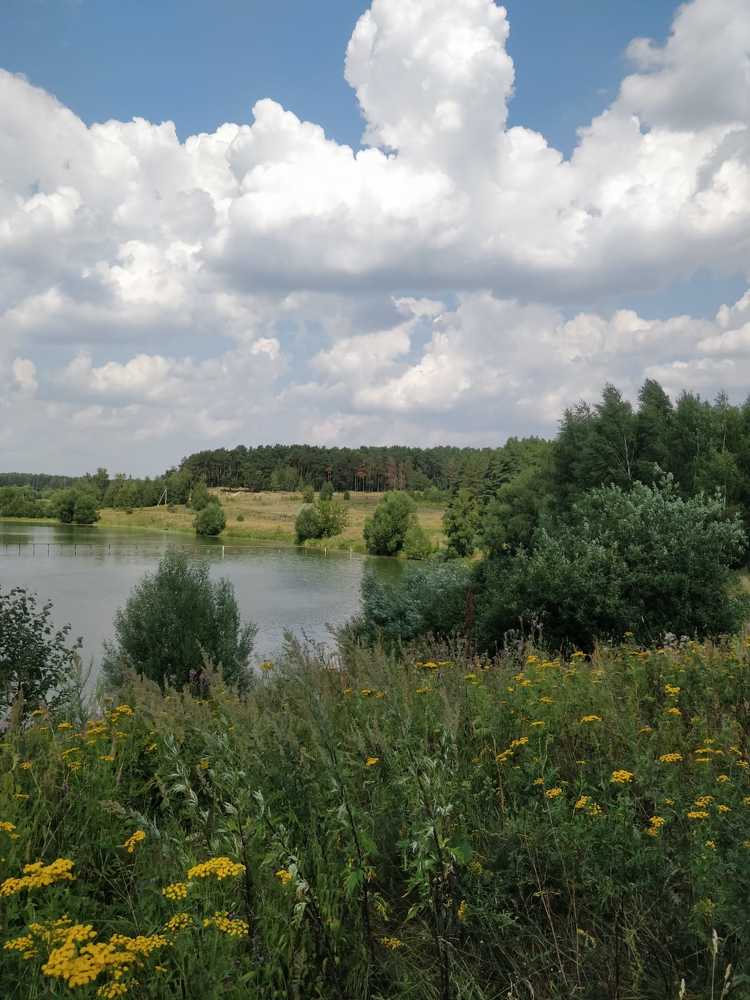 Photograph by Татьяна Тихонова