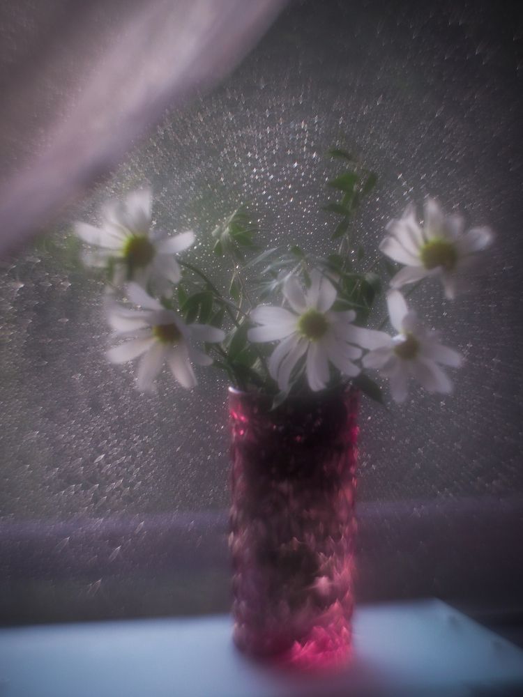 Photograph by Natalia Novikova